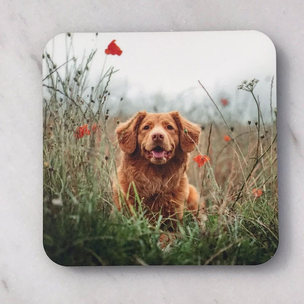 Personalised Coasters, Set of 4 and 6, Add your own photos to make a great gift for any occasion